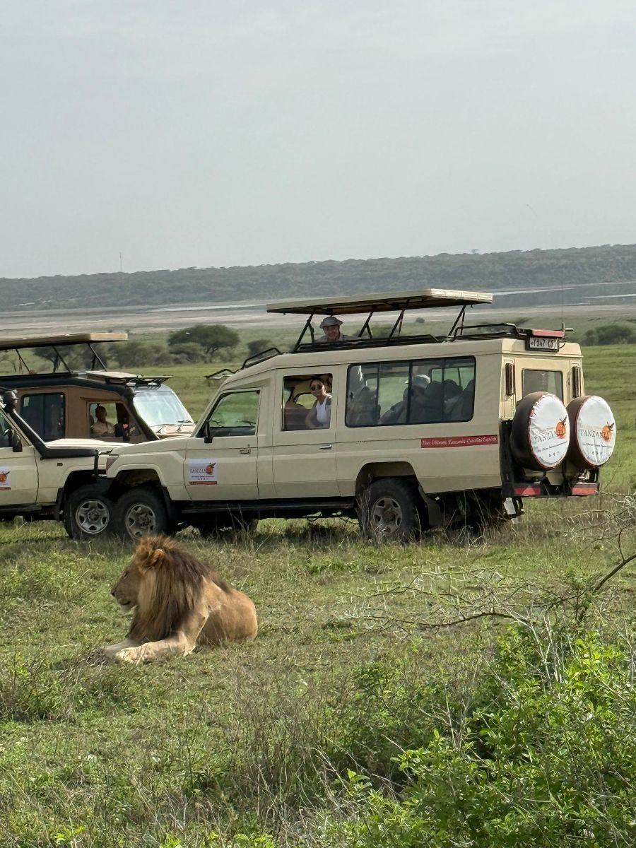 Luxury Tanzania Safari and Beach Package